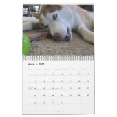 Sibirischer Husky wächst auf Kalender (Mär 2027)
