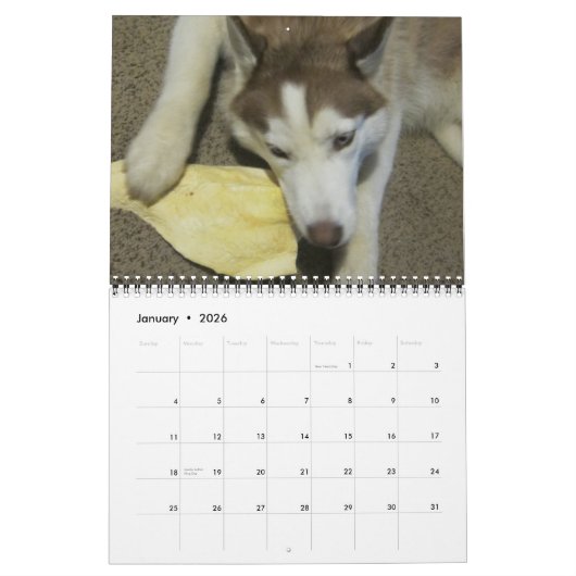Sibirischer Husky wächst auf Kalender (Jan 2026)