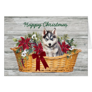 Sibirischer Husky-Welpe in Basketball Weihnachtska
