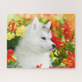 Sibirischer Husky-Welpe in Blume-Rätsel Puzzle (Horizontal)