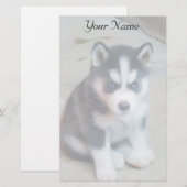 Sibirischer Husky-Welpe stationär Briefpapier (Vorne/Hinten)