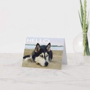 Sibirischer Husky-Welpenhund Hallo, Ich denke an D Karte