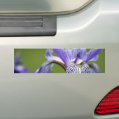 Sibirischer Iris-Autoaufkleber Autoaufkleber (Auf Auto)