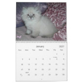 SIBIRISCHER KATZEN 2007 Kalender… Kalender (Jan 2027)