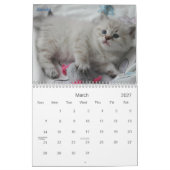 SIBIRISCHER KATZEN 2007 Kalender… Kalender (Mär 2027)