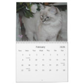 SIBIRISCHER KATZEN 2007 Kalender… Kalender (Feb 2026)