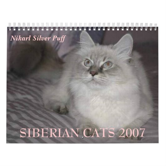 SIBIRISCHER KATZEN 2007 Kalender… Kalender (Titelbild)