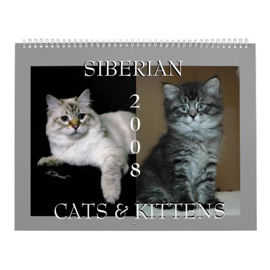 Sibirischer Katzen-Kalender 2008 Kalender (Titelbild)