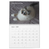 Sibirischer KATZEN Kalender 2009 (Mär 2027)