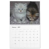 Sibirischer Katzen-Kalender 2009 Kalender (Feb 2027)