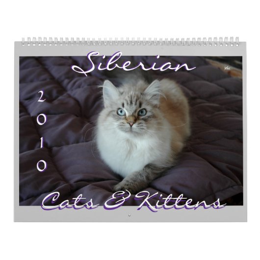 Sibirischer Katzen-u. der Kätzchen-2010 Kalender (Titelbild)