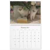 Sibirischer Katzen-u. der Kätzchen-2010 Kalender B (Feb 2027)