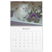 Sibirischer Katzen-u. der Kätzchen-2010 Kalender B (Mär 2027)