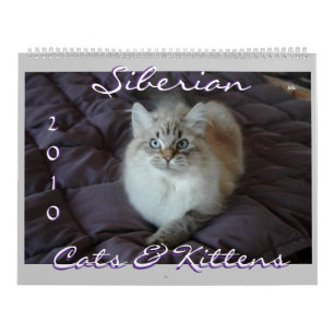Sibirischer Katzen-u. der Kätzchen-2010 Kalender B