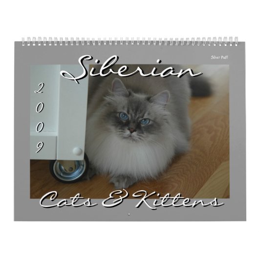 Sibirischer Katzen-und der Kätzchen-09 Kalender (Titelbild)