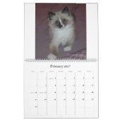 Sibirischer Katzen-und der Kätzchen-09 Kalender (Feb 2027)