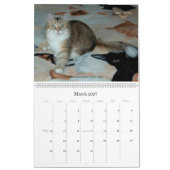 Sibirischer Katzen-und der Kätzchen-09 Kalender (Mär 2027)