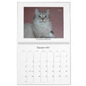 Sibirischer Katzen-und der Kätzchen-09 Kalender (Jan 2027)