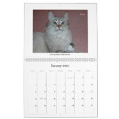 Sibirischer Katzen-und der Kätzchen-09 Kalender (Jan 2026)