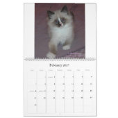 Sibirischer Katzen-und Kätzchen-Kalender Final2 Kalender (Feb 2027)