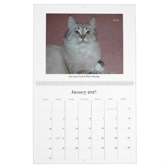 Sibirischer Katzen-und Kätzchen-Kalender Final2 Kalender (Jan 2027)