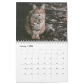 Sibirischer Katzenkalender 2019 Kalender (Jan 2026)