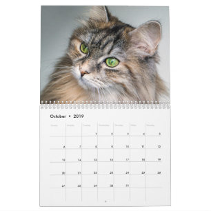 Sibirischer Katzenkalender 2019 Kalender