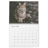 Sibirischer Katzenkalender 2019 Kalender (Jan 2027)