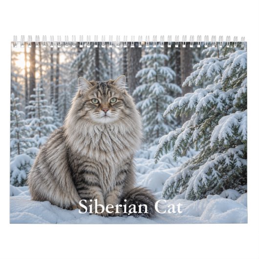 Sibirischer Katzenkalender Kalender (Titelbild)