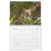 sibirischer Luchs 034, sibirischer Luchs Kalender (Jan 2027)