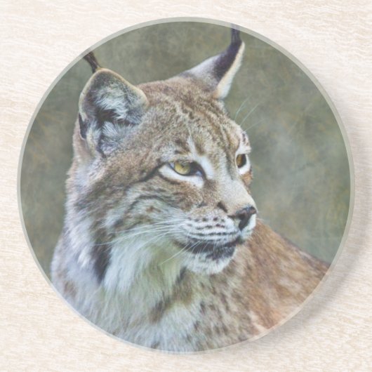 Sibirischer Luchs-Achterbahn Sandstein Untersetzer (Vorne)