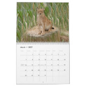 Sibirischer Luchs-Kalender, sibirischer Luchs Kalender (Mär 2027)