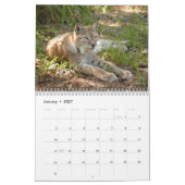Sibirischer Luchs-Kalender, sibirischer Luchs Kalender (Jan 2027)