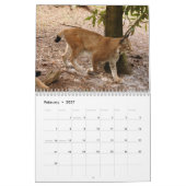 Sibirischer Luchs-Kalender, sibirischer Luchs Kalender (Feb 2027)
