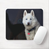 Sibirischer Schlittenhund-Foto Mousepad (Mit Mouse)