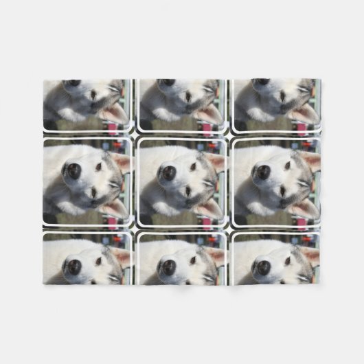 Sibirischer Schlittenhund-HundeFoto Fleecedecke (Vorderseite (Horizontal))