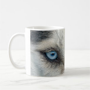 Sibirischer Schlittenhund mustert Tasse