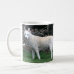 Sibirischer Schlittenhund-Tasse Kaffeetasse<br><div class="desc">Tasse des sibirischen Schlittenhunds</div>