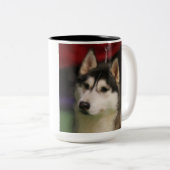 Sibirischer Schlittenhund-Tasse Zweifarbige Tasse (VorderseiteRechts)