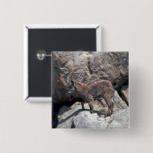 Sibirischer Steinbock Button (Vorne & Hinten)