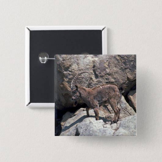 Sibirischer Steinbock Button (Vorne & Hinten)