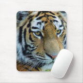 Sibirischer Tiger, Amur Tiger Mousepad (Mit Mouse)