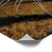 Sibirischer Tiger, Amur Tiger Poster (Ecke)