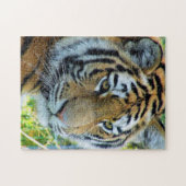 Sibirischer Tiger, Amur-Tiger-Puzzlespiel Puzzle (Horizontal)