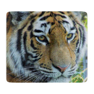 Sibirischer Tiger, Amur-Tiger Schneidbrett Schneidebrett