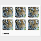 Sibirischer Tiger, Amur Tiger Sticker (Blatt)