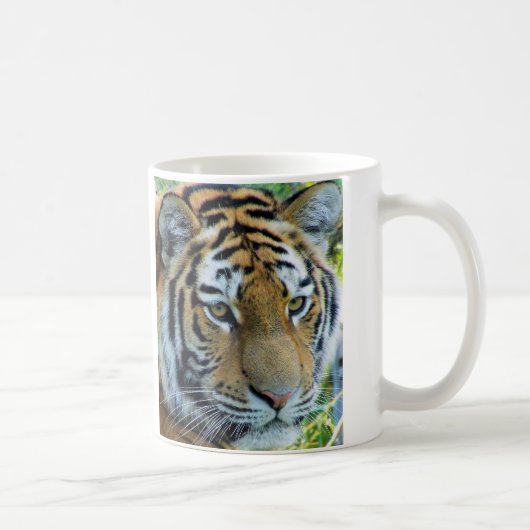 Sibirischer Tiger, Amur Tiger Tasse (Rechts)