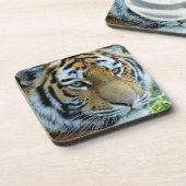 Sibirischer Tiger, Amur-Tiger-Tiger-Untersetzer Untersetzer (Linke Seite)
