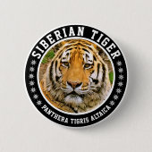 Sibirischer Tiger Button (Vorderseite)