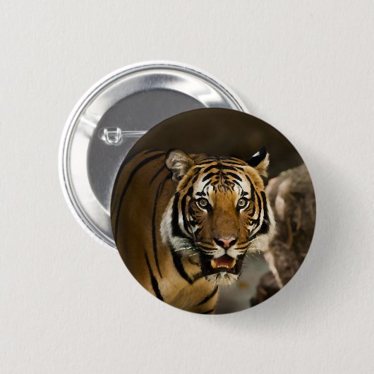 Sibirischer Tiger Button (Vorne & Hinten)